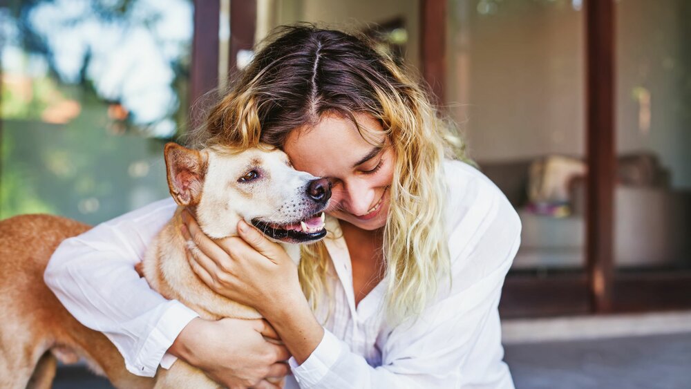 Lost A Pet? How To Help Your Other Pets Grieve